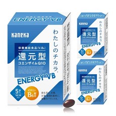 나의 치카라 ENERGY VB 정품 5봉지 × 3개 세트 (15일분) 환원형 코엔자임 Q10 비타민 B6 영양기능식품 보충제 국내 제조