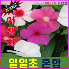 12114120a44634d238ee4076829d41e6c5a8c36525a59c15aecb474c7607.jpeg