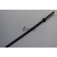 울릉도스킨스쿠버