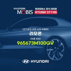 현대모비스프라이드리모컨