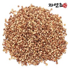 자연초 국산 수수 500g, 1개