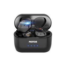 펜톤tsx다이아팟