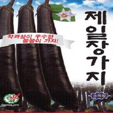 노지가지