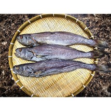 태봉봉 반건조 참민어, 1개, 2미(650g 내외)