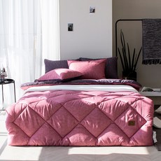 마이크로화이바세사