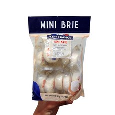 [코스트코]일드 프랑스 미니브리치즈 10개입 ILE De France Mini Brie cheese, 아이스박스