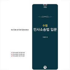 민사소송법입문