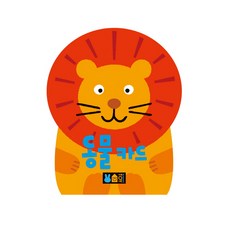 블루래빗플래시카드