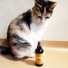 부들부들 고양이 강아지 양치 입냄새 120ml 구강청결제, 1개