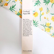 이안셀비비