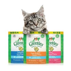  그리니즈 필라인 이빨과자 130g [3종세트] 고양이 간식, 닭고기 연어 참치, 2개 