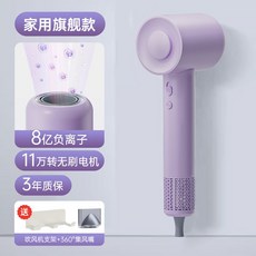 차이슨 드라이기 저소음 헤어드라이기 전문가용 호텔용 가벼운 여행용 헤어드라이기추천, 퍼플 + 돼지코