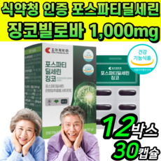 뇌영양제 포스파티딜세린 식약청 인증 300mg 기억력 인지력 개선 도움 은행잎 추출물 징코빌로바 식약처 인정 포스타 포스타티 포스파티 포스타티디 포스파스 딜세린 셀린 사은품증정, 12개, 30캡슐