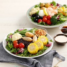 풀무원 디자인밀 매일배송 샐러드 도시락 그린Meal+, 01. 그린Meal+_1주 5일