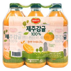 델몬트 제주감귤주스, 12개, 950ml