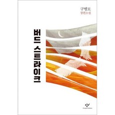 창문버드스트라이크