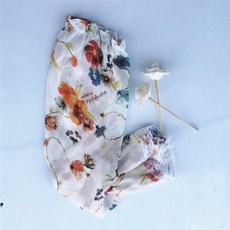 레이스토시