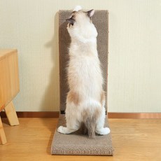 고양이전용케잌