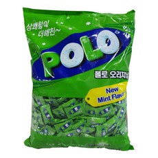 폴로드라이빙