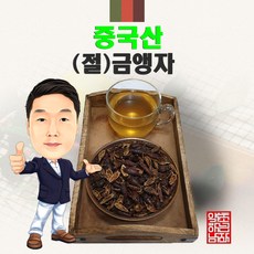 금앵자