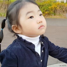 페이크목폴라kc