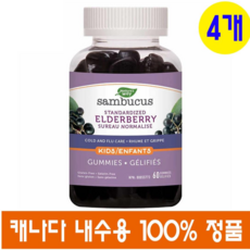 (캐나다 직송) 네이쳐스 웨이 어린이 삼부커스 엘더베리 60구미 4개 Natures Way Sambucus Elderberry Kids, 60정