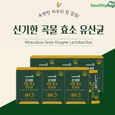 음식물분해효소
