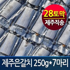 [제주직송 정품] 제주은갈치250gx7마리(총28토막) 명품 제주갈치, 1개