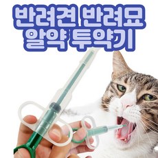 고양이필건