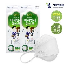 건영크린텍 KF94 마스크/국내산/대형/80매_247354, 화이트_80매