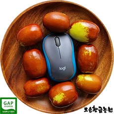 대추칩다이어트