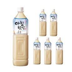 햇살가득프라하