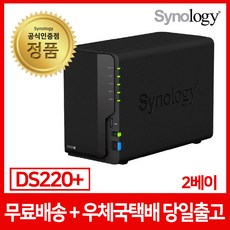 Synology DS220 12TB 