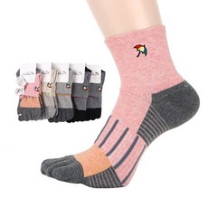 아놀드파마ap6901