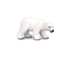 컬렉타북극고래