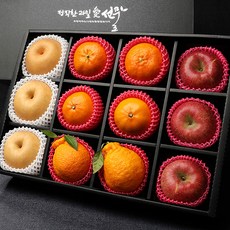 [과일愛]혼합 선물세트 특32호 (한라봉천혜향레드향사과 외 1종), 단품
