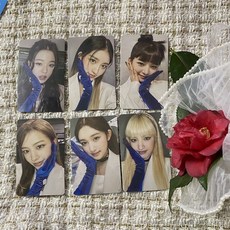 데이즈드6