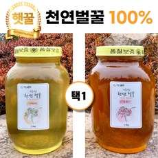 꿀 가격비교 및 장단점 정리 TOP10
