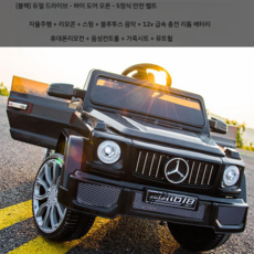 그린전기자동차기사책추천