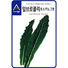 보람농자재 (브로콜리씨앗) 잎브로콜리 토스카노 뉴그린(1000립 100g), 1000립