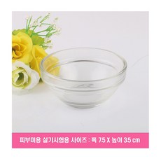 피부실기유리볼