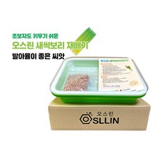발아율이 좋은 새싹 보리 재배기 씨앗 키우기 400g 포함
