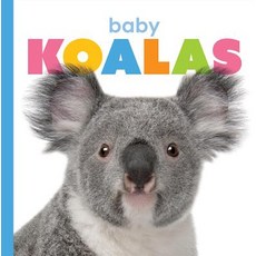 Baby Koalas Paperback, Creative Paperbacks