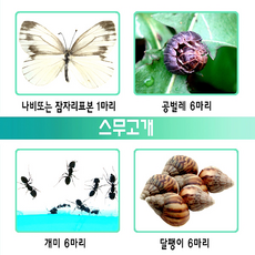 ad546147bd5e7624035c54cf3d08387366165122ec9ac650da6fb5b251fb.png