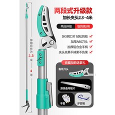 청도복숭아따기체험