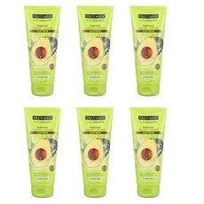 프리맨아보카도