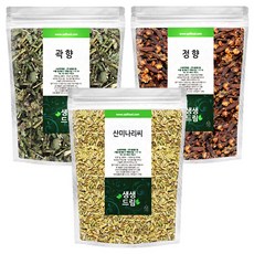 곽향정향회향 곽향 정향 회향