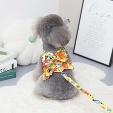조끼 하네스옷 작은 강아지 고양이 봄 여름 치마 리드 공주 고양이 드레스 하네스, CLGXB02 Orange Shirt+XL, 1개