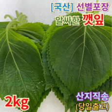 [농장직영] 알싸한 깻잎 (국산) 생채 쌈재료 짱아찌재료 쌈야채 쌈채소 깻잎무침용재료, 1개, 2kg