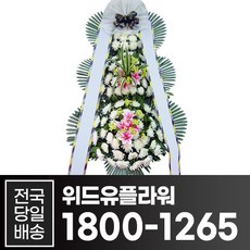 82bf31308b7fa0dc03c1232e95c540c3a2e5498b66a6ddf437568cdf53ac.jpg